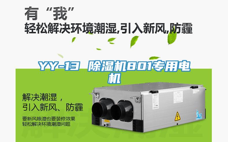 YY-13 除濕機801專用電機