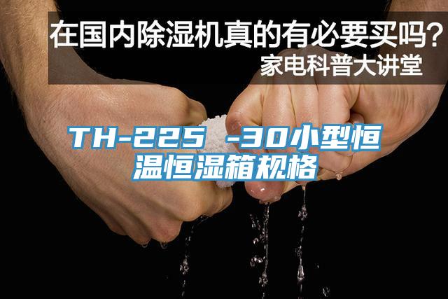 TH-225 -30小型恒溫恒濕箱規格