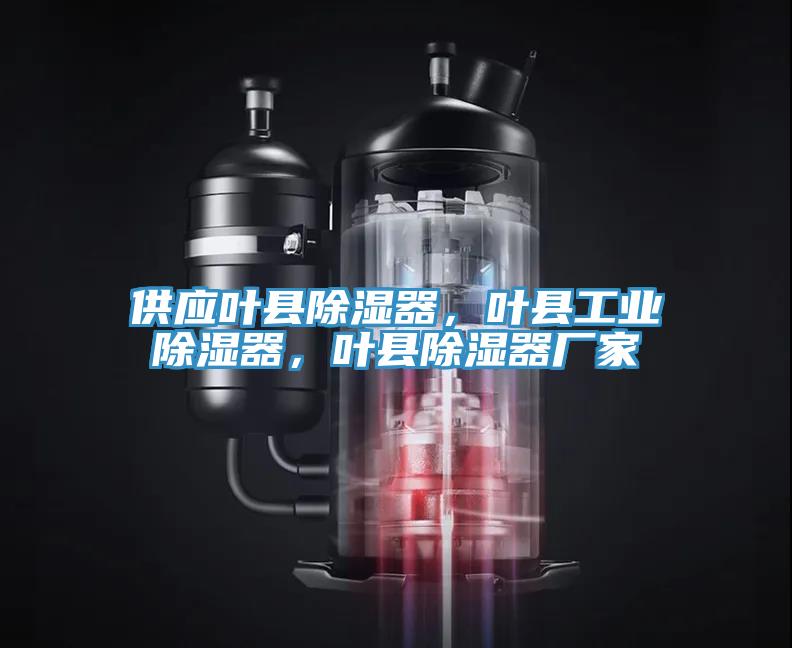 供應葉縣除濕器，葉縣工業除濕器，葉縣除濕器廠家