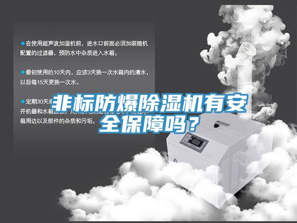 非標防爆除濕機有安全保障嗎？