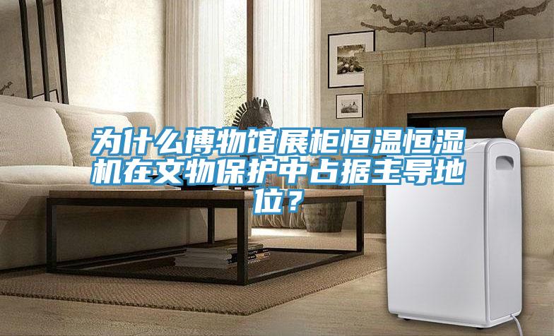 為什么博物館展柜恒溫恒濕機在文物保護中占據主導地位？