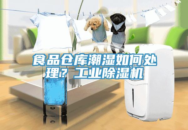 食品倉庫潮濕如何處理？工業除濕機