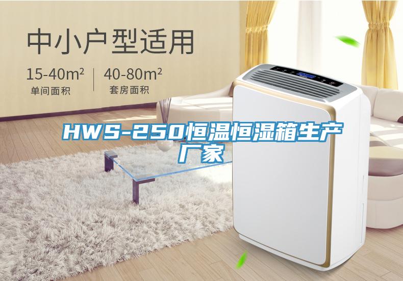 HWS-250恒溫恒濕箱生產廠家