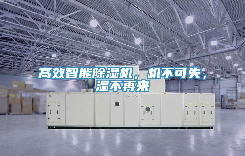 高效智能除濕機，機不可失，濕不再來