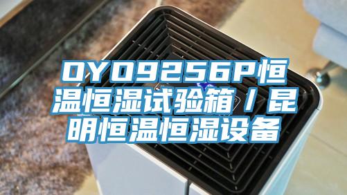 OYO9256P恒溫恒濕試驗箱／昆明恒溫恒濕設備