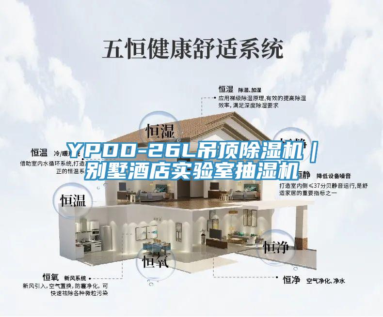 YPDD-26L吊頂除濕機｜別墅酒店實驗室抽濕機