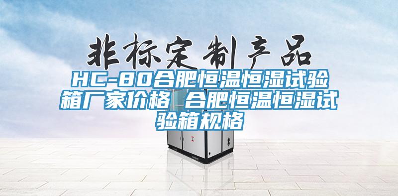 HC-80合肥恒溫恒濕試驗箱廠家價格 合肥恒溫恒濕試驗箱規格