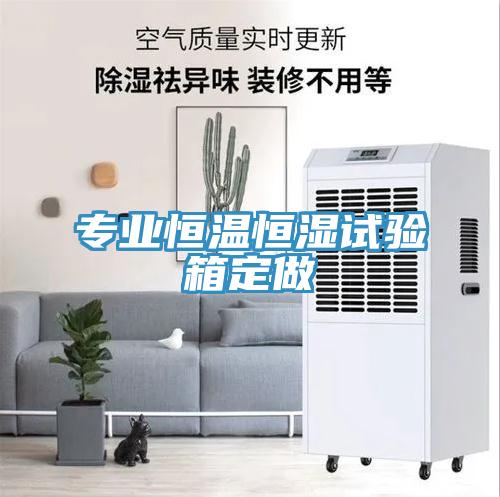 專業恒溫恒濕試驗箱定做