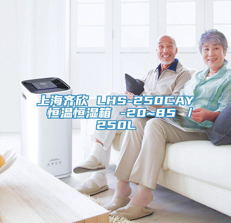 上海齊欣 LHS-250CAY 恒溫恒濕箱 -20~85℃／250L