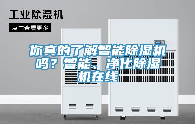 你真的了解智能除濕機嗎？智能、凈化除濕機在線
