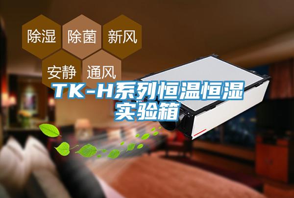 TK-H系列恒溫恒濕實驗箱