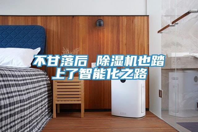 不甘落后 除濕機也踏上了智能化之路