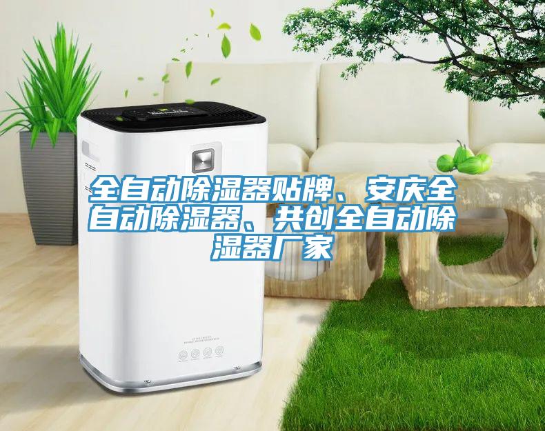 全自動除濕器貼牌、安慶全自動除濕器、共創全自動除濕器廠家