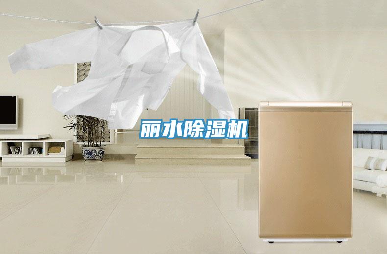 麗水除濕機