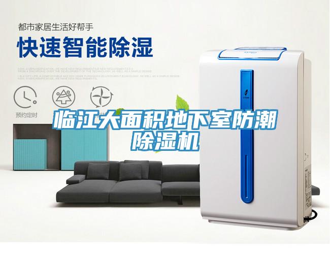 臨江大面積地下室防潮除濕機