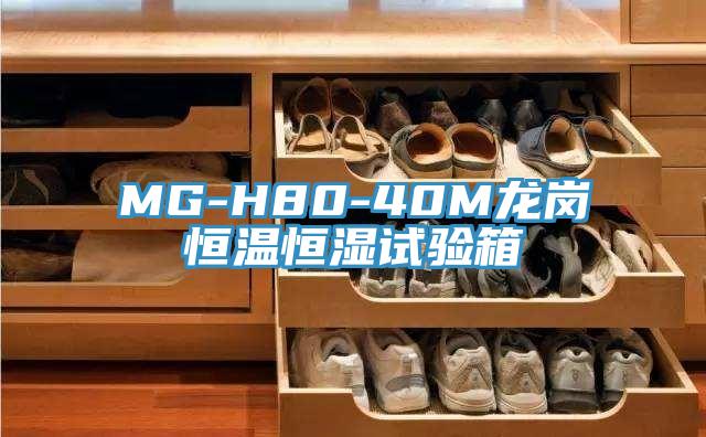 MG-H80-40M龍崗恒溫恒濕試驗箱