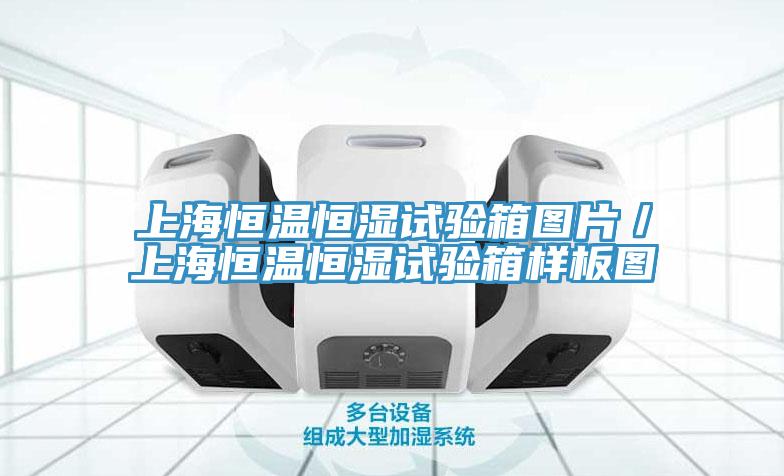 上海恒溫恒濕試驗箱圖片／上海恒溫恒濕試驗箱樣板圖