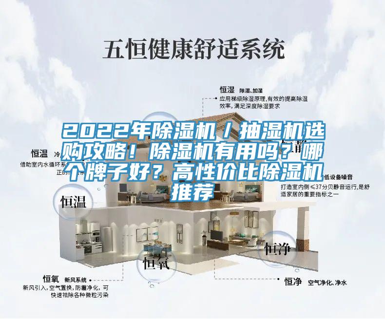 2022年除濕機／抽濕機選購攻略！除濕機有用嗎？哪個牌子好？高性價比除濕機推薦