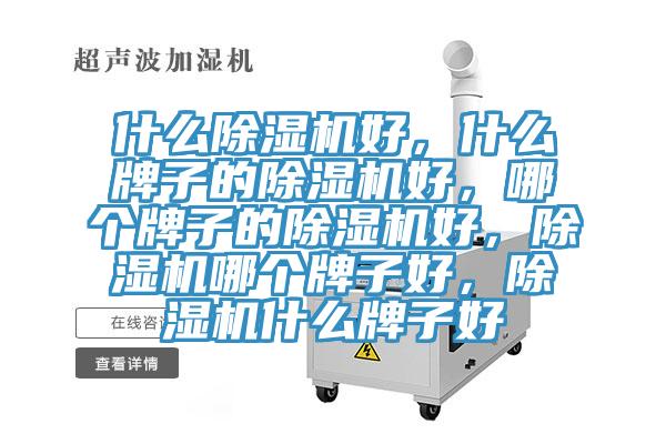 什么除濕機好，什么牌子的除濕機好，哪個牌子的除濕機好，除濕機哪個牌子好，除濕機什么牌子好