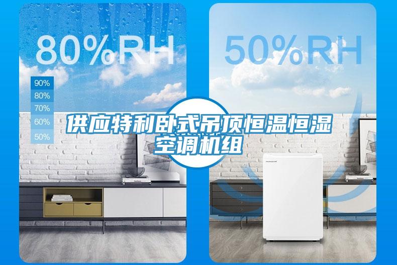 供應特利臥式吊頂恒溫恒濕空調機組