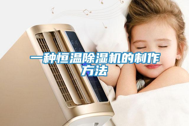 一種恒溫除濕機的制作方法