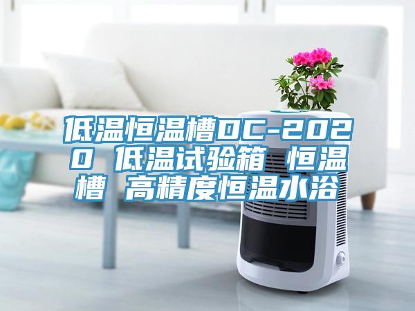 低溫恒溫槽DC-2020 低溫試驗箱 恒溫槽 高精度恒溫水浴