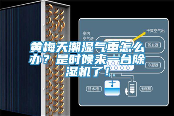 黃梅天潮濕氣重怎么辦？是時候來一臺除濕機了！