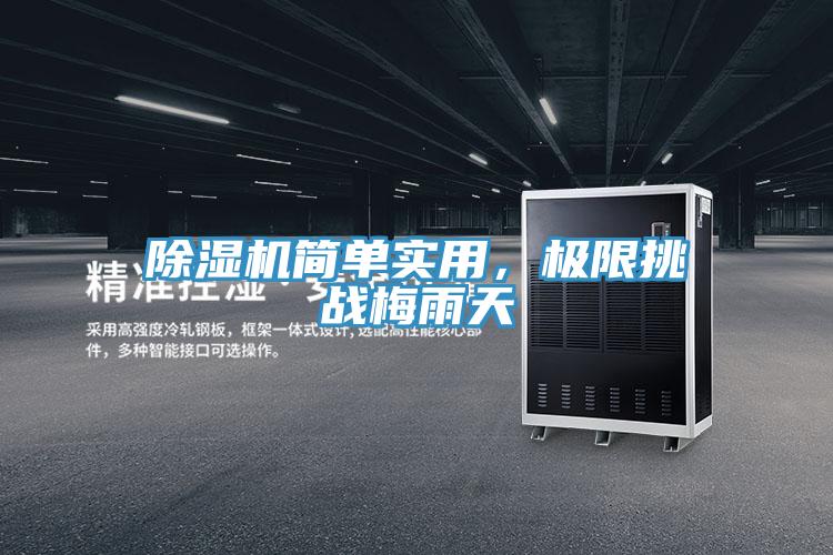 除濕機簡單實用，極限挑戰梅雨天