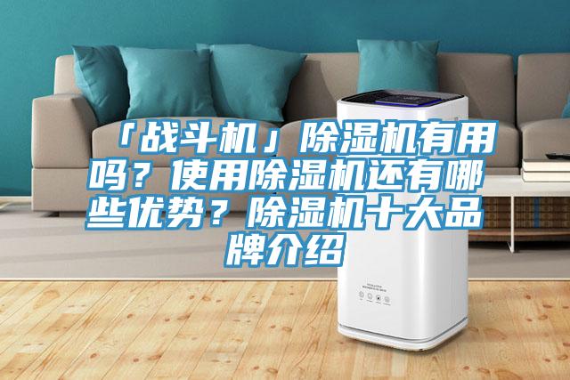 「戰斗機」除濕機有用嗎？使用除濕機還有哪些優勢？除濕機十大品牌介紹