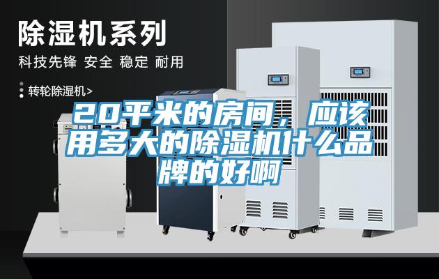 20平米的房間，應該用多大的除濕機什么品牌的好啊