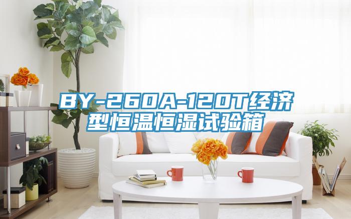 BY-260A-120T經濟型恒溫恒濕試驗箱