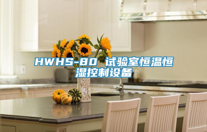 HWHS-80 試驗室恒溫恒濕控制設備