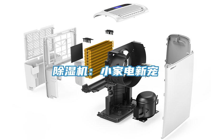 除濕機：小家電新寵