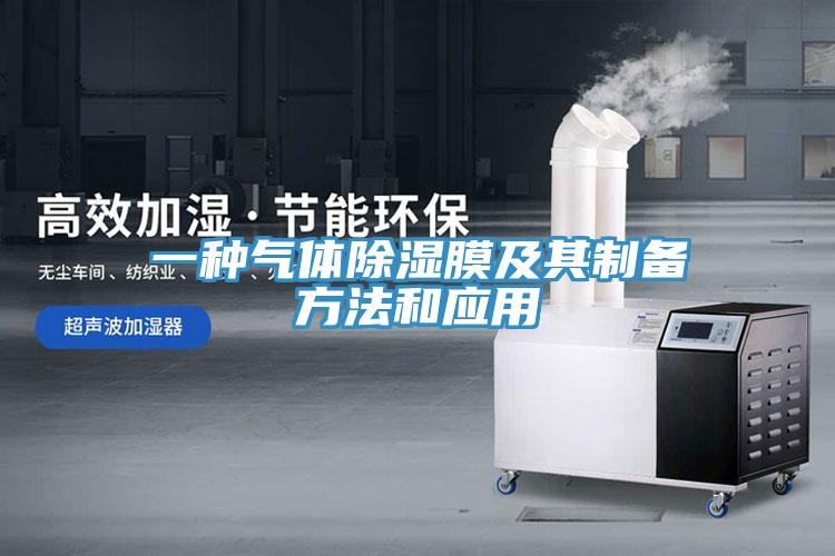 一種氣體除濕膜及其制備方法和應用