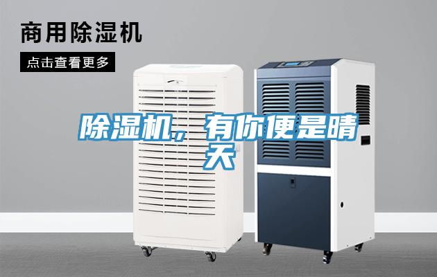 除濕機，有你便是晴天