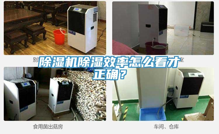 除濕機除濕效率怎么看才正確？