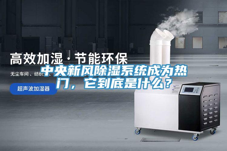 中央新風除濕系統成為熱門，它到底是什么？