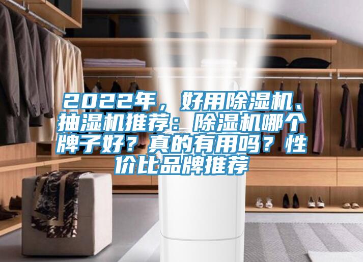 2022年，好用除濕機、抽濕機推薦：除濕機哪個牌子好？真的有用嗎？性價比品牌推薦