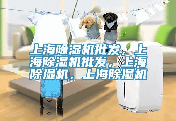 上海除濕機批發，上海除濕機批發，上海除濕機，上海除濕機