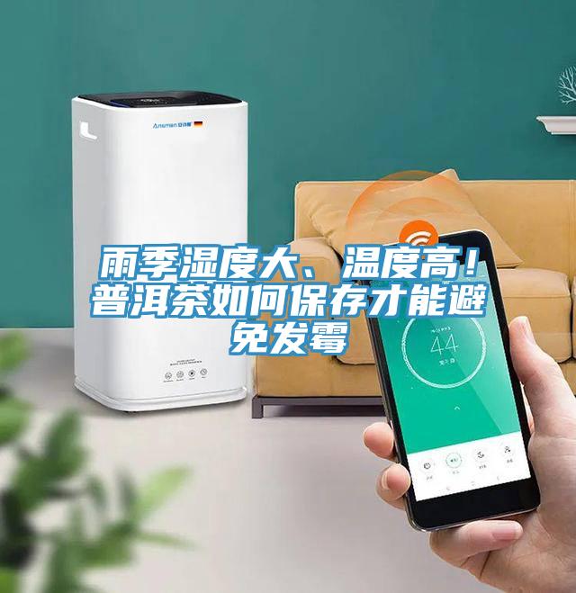 雨季濕度大、溫度高！普洱茶如何保存才能避免發霉