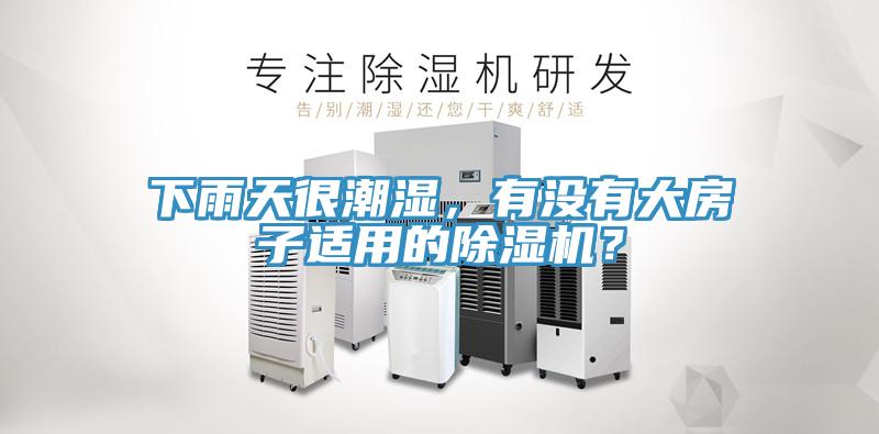 下雨天很潮濕，有沒有大房子適用的除濕機？