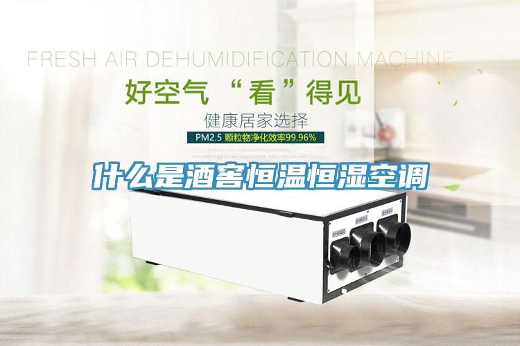 什么是酒窖恒溫恒濕空調