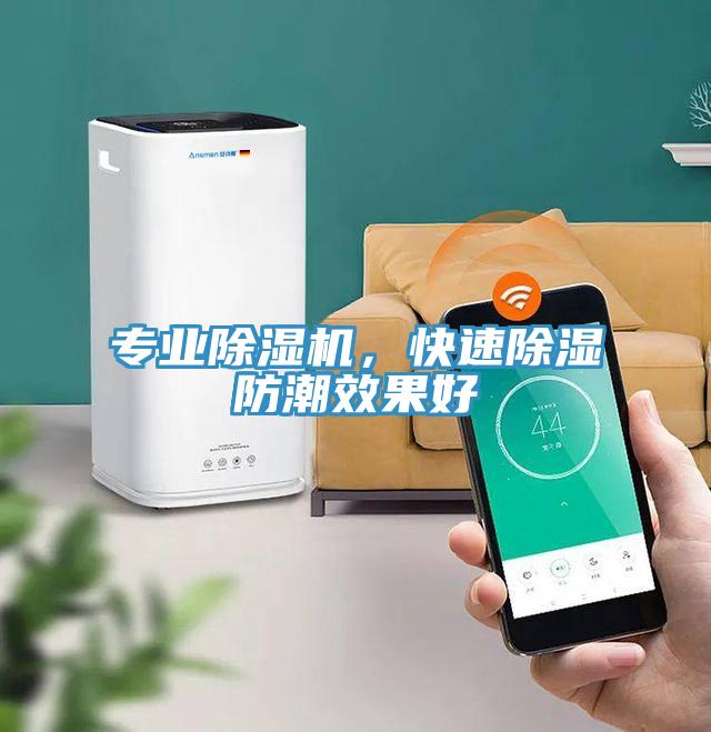 專業除濕機，快速除濕防潮效果好