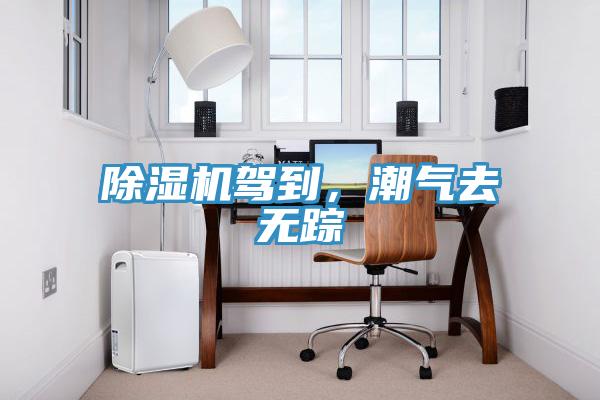除濕機駕到，潮氣去無蹤