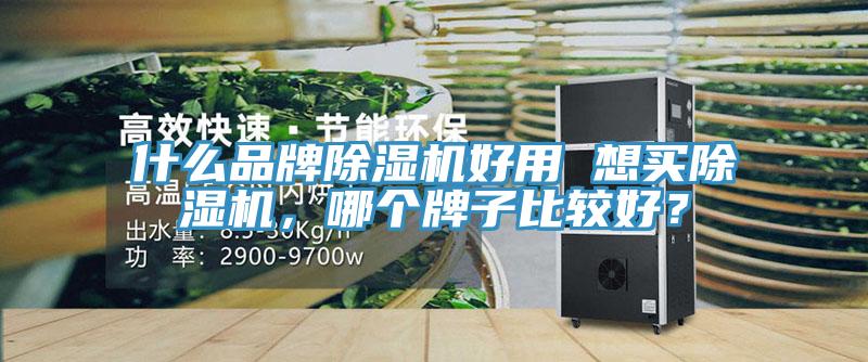 什么品牌除濕機好用 想買除濕機，哪個牌子比較好？