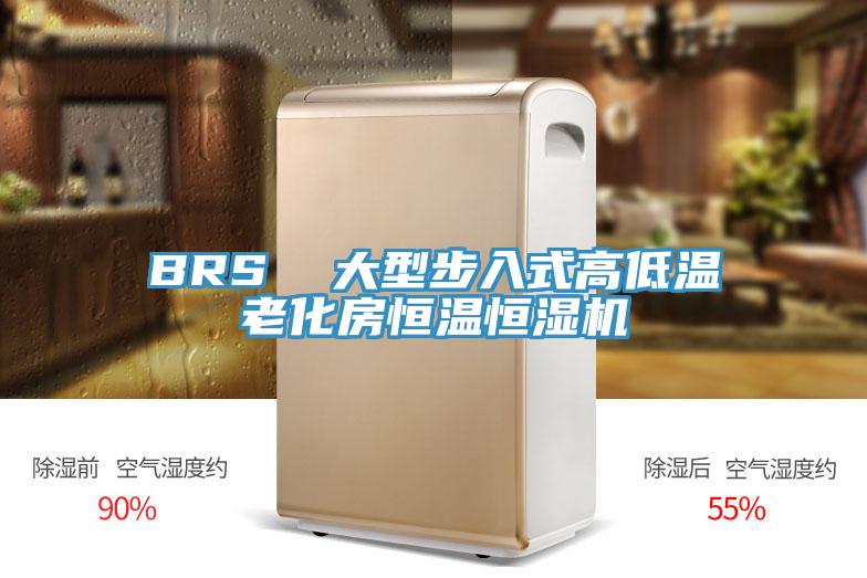 BRS  大型步入式高低溫老化房恒溫恒濕機
