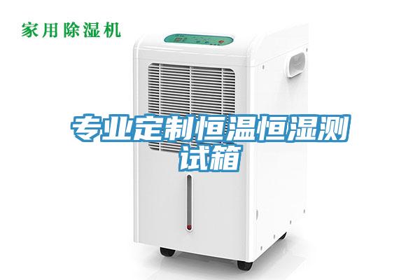 專業定制恒溫恒濕測試箱