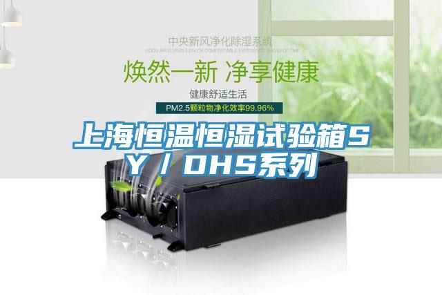 上海恒溫恒濕試驗箱SY／DHS系列