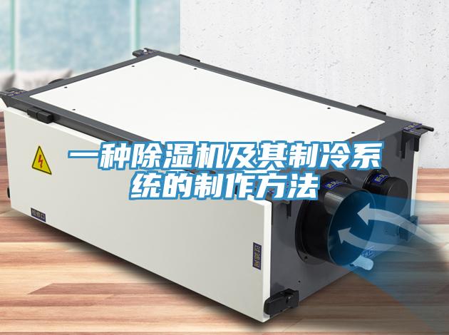 一種除濕機及其制冷系統的制作方法