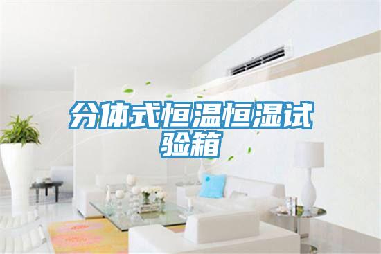 分體式恒溫恒濕試驗箱